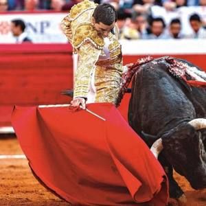 Meet your Posher, Roberto